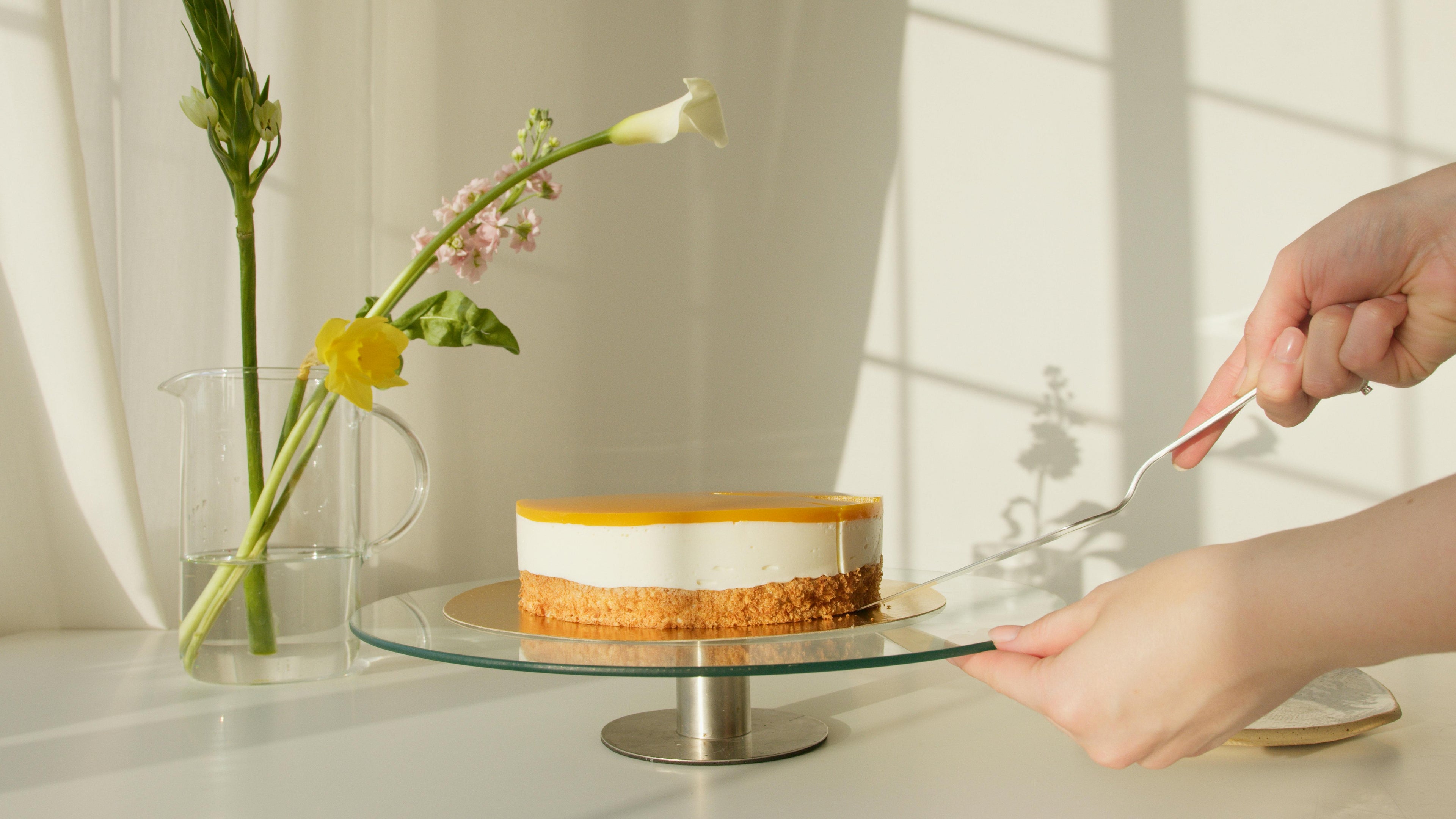 Lemon Cheesecake