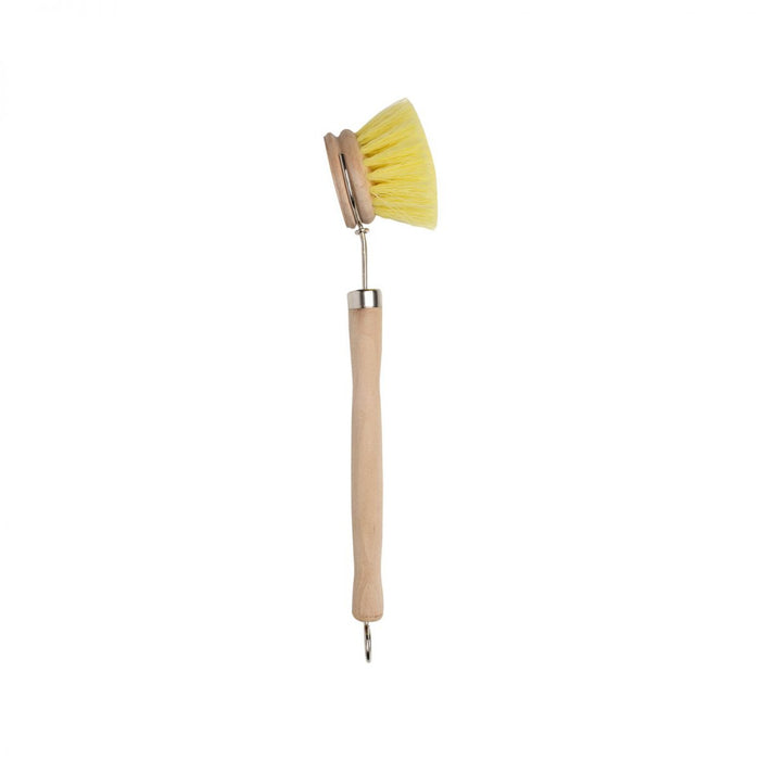 Dish Brush Beech
