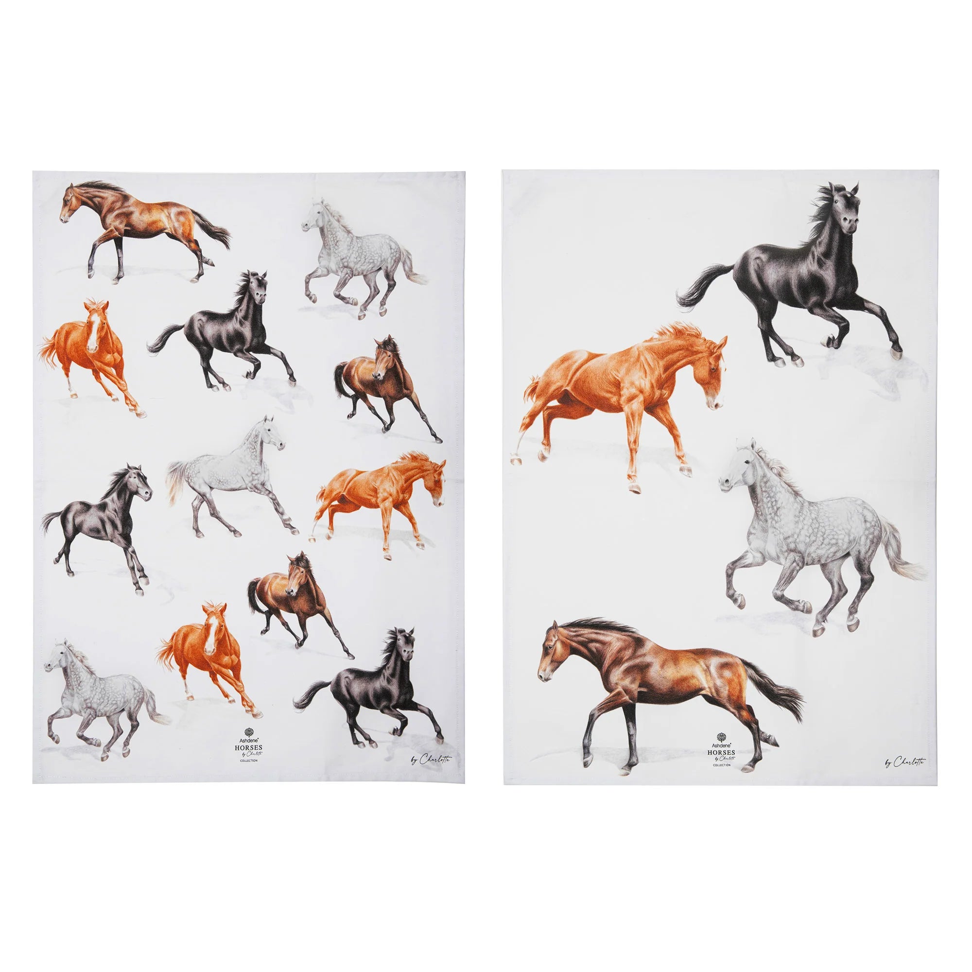 Tea Towel pack of Two Horses