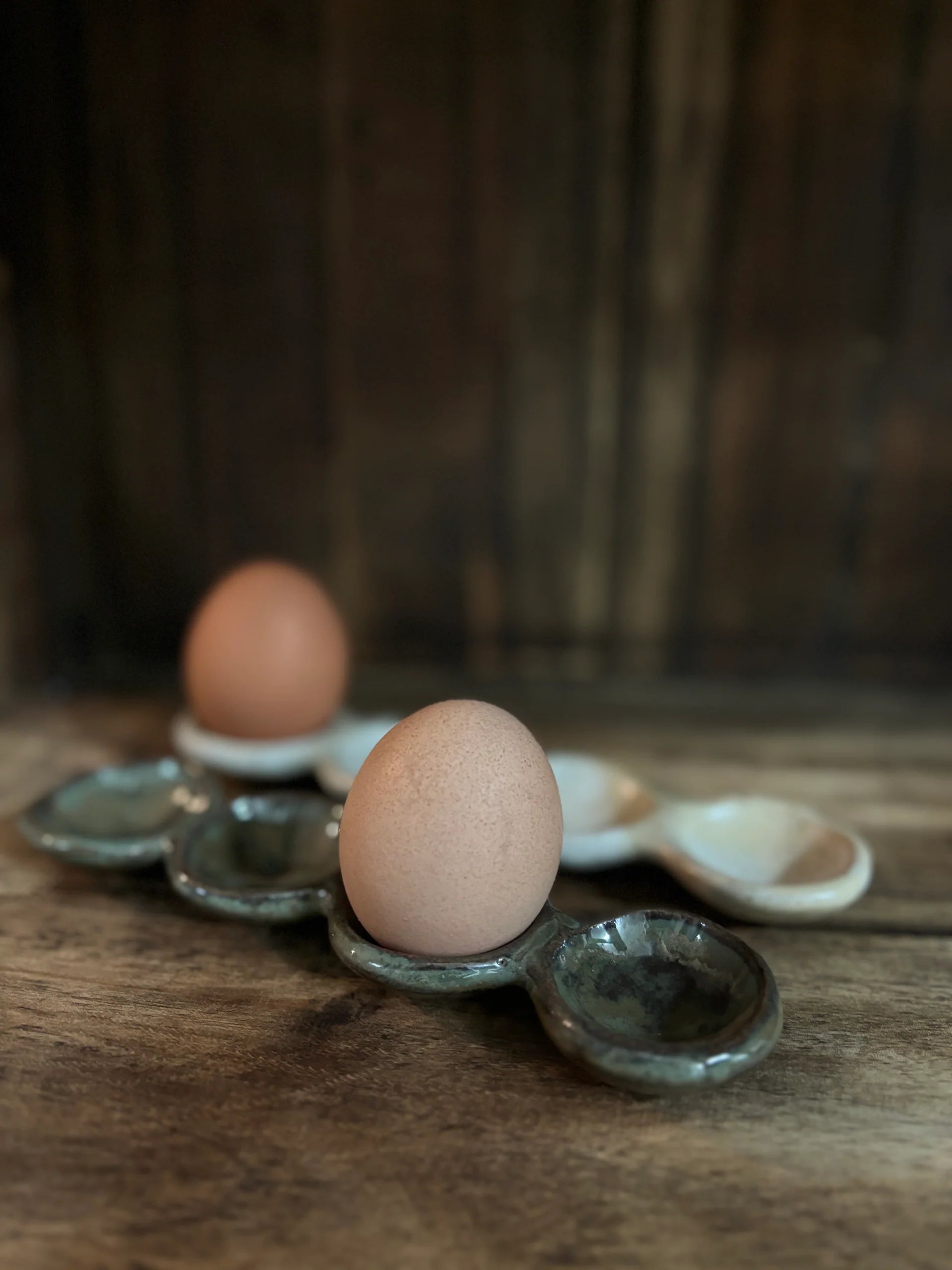Simple Egg Tray Long Green