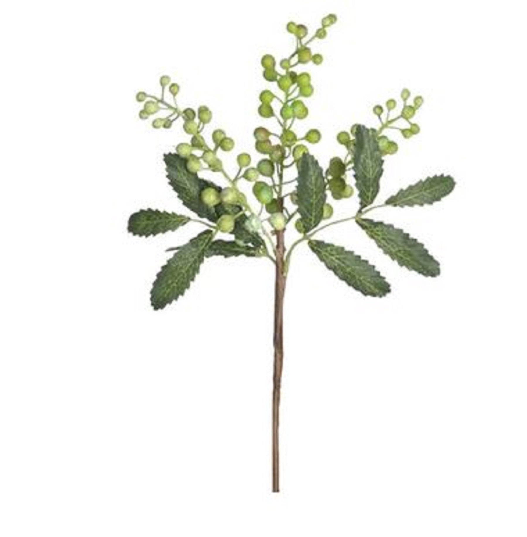 Berry Pick New Green