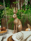 Harold the Hare Brown