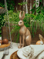 Harold the Hare Brown