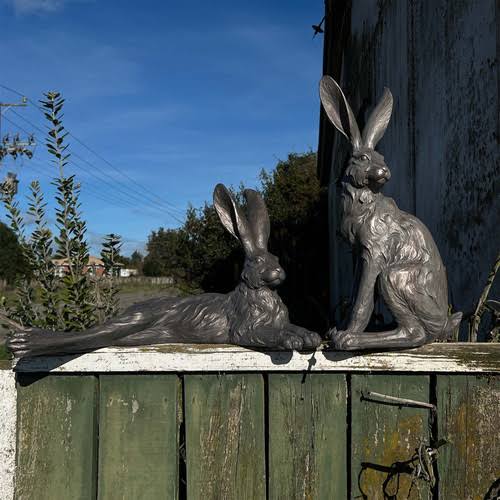Shadow Country Hare Junior Resting Grey