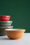 Mason and Cash Mixing Bowl 24cm Forest Ochre