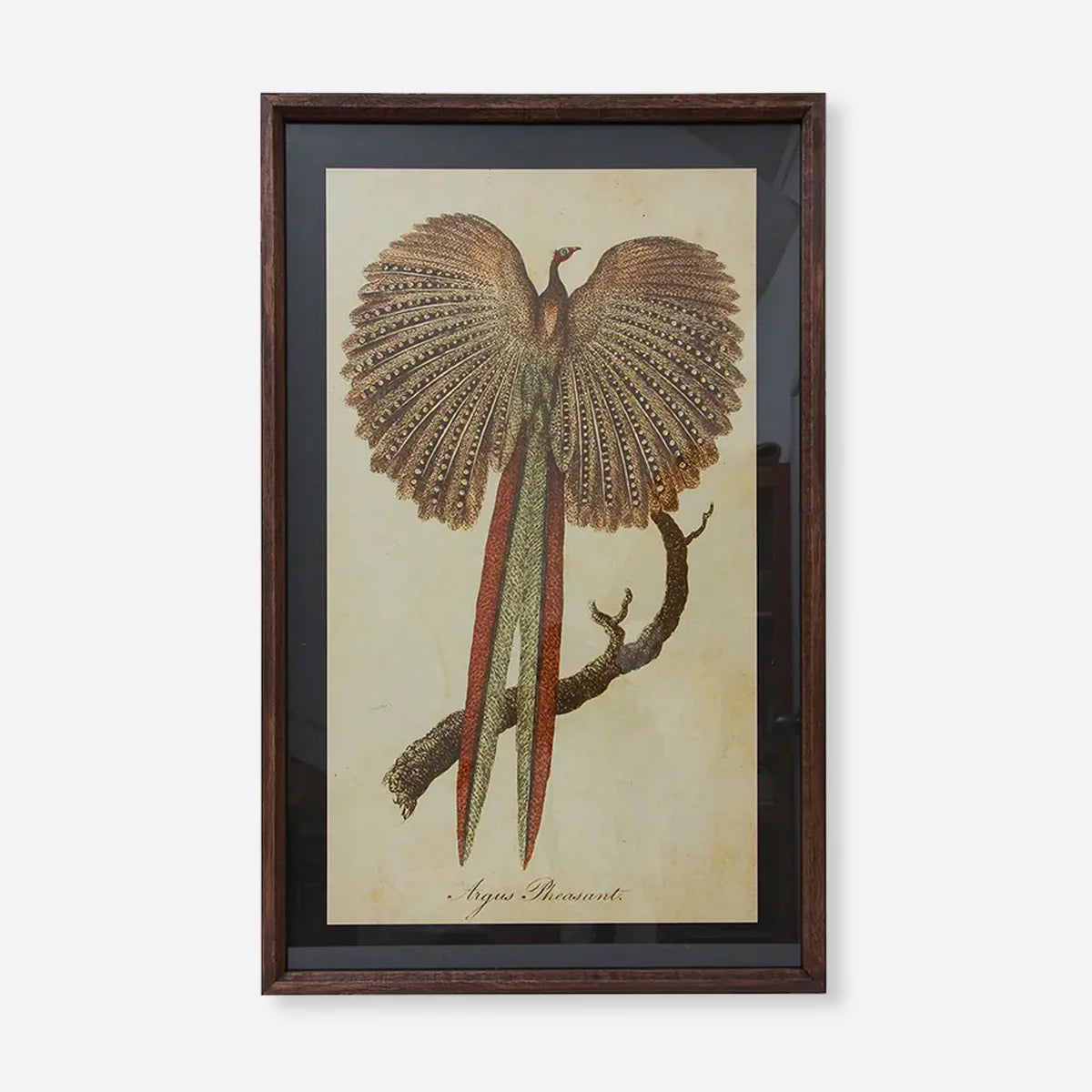 Art Pheasant