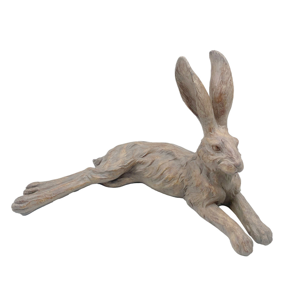 Pecan Country Hare Resting Earth