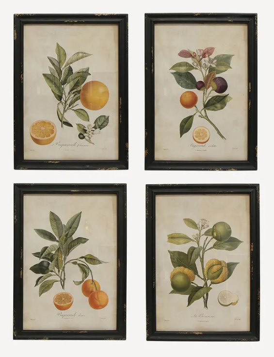 Botanical Wall Art set of Four