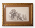 Art Vintage Glade Sketch
