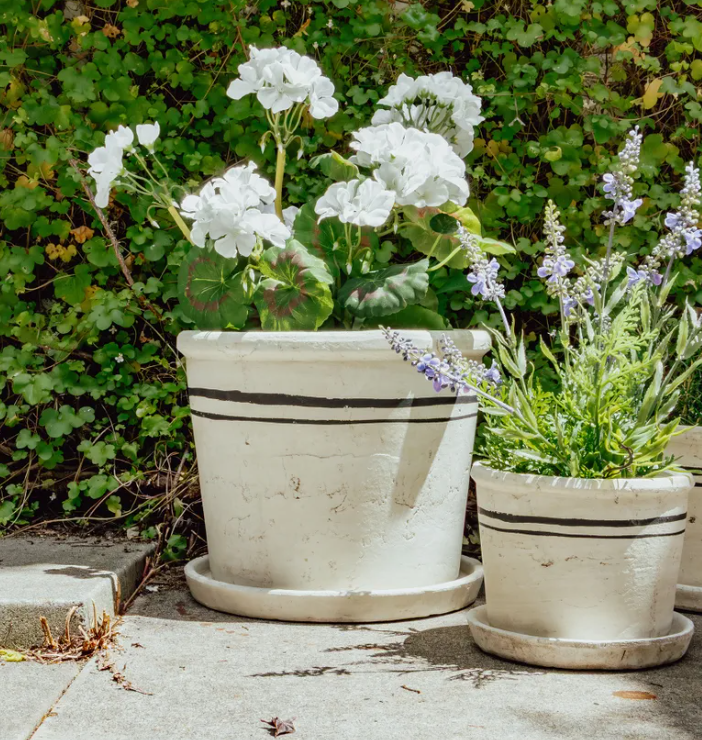 Lisbon Herb Pot Large