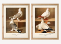 Art Pigeon set of 2