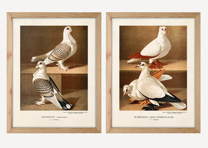 Art Pigeon set of 2