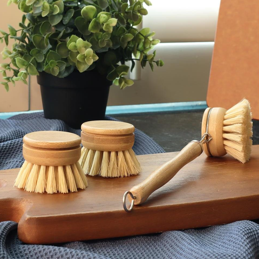 Dish Brush Plastic Free