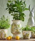 Botanical Lemon Urn