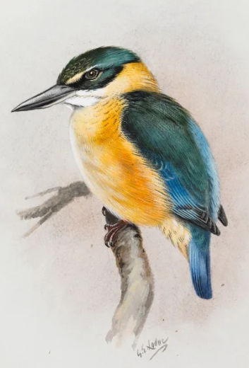 Kotare by George Lodge
