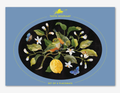 Oval Placemats set of 4 NZ Birds