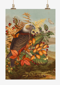 Tea Towel Microfibre Kaka