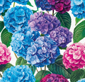 Napkin Hydrangea