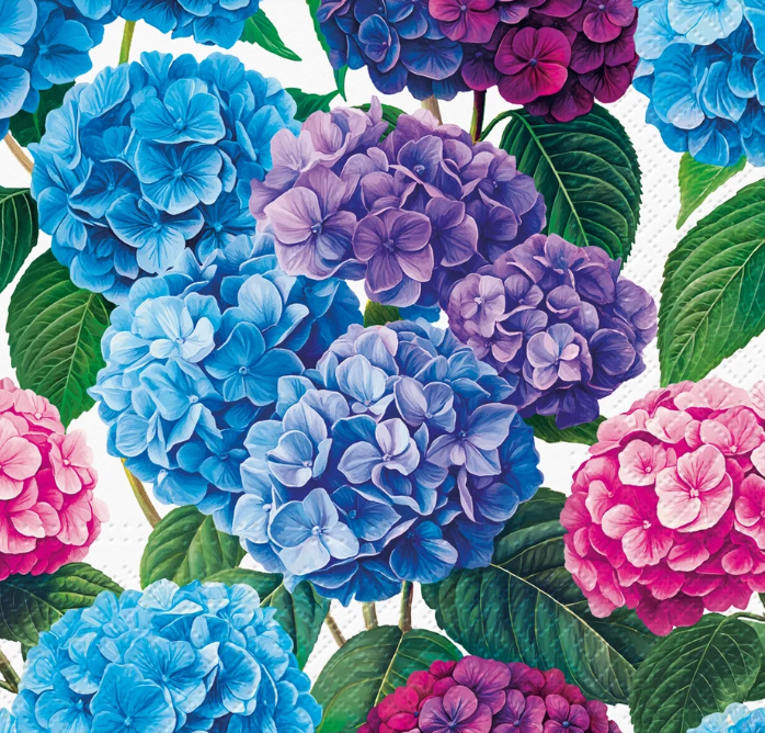 Napkin Hydrangea