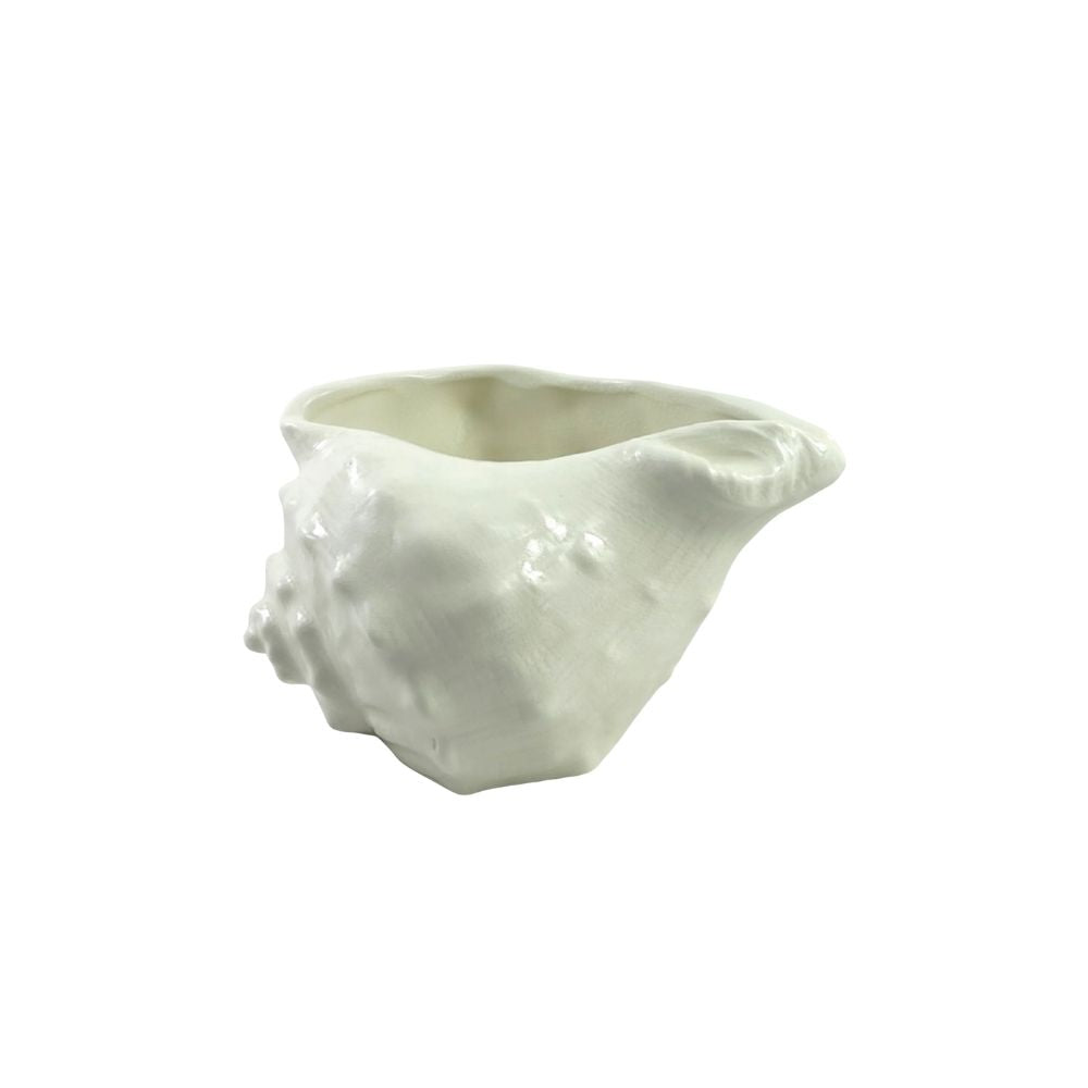 Conch Shell