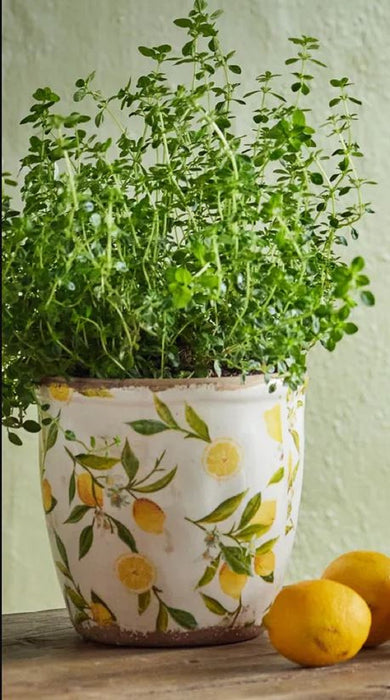 Botanical Lemon Pot Large