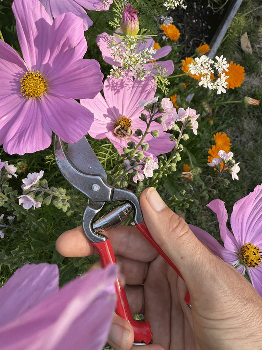 Pruner W/Red Handles