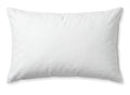 Feather Cushion  65x45