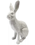 Rabbit French White