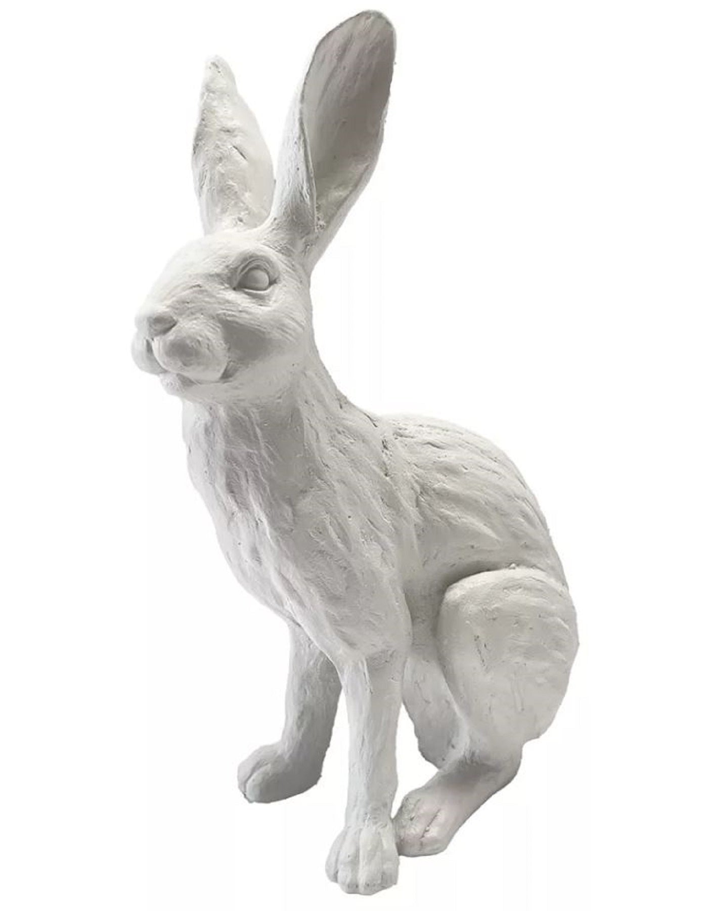 Rabbit French White