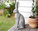 Harold the Hare Grey