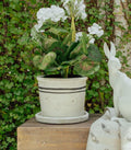 Lisbon Herb Pot Medium