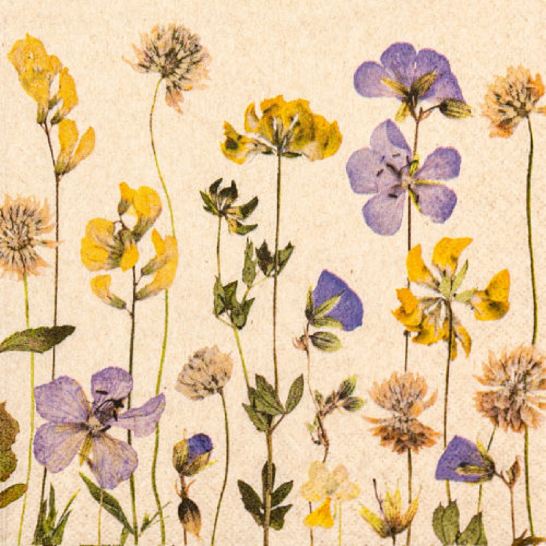 Napkin Flowers Pressed