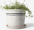 Lisbon Herb pot