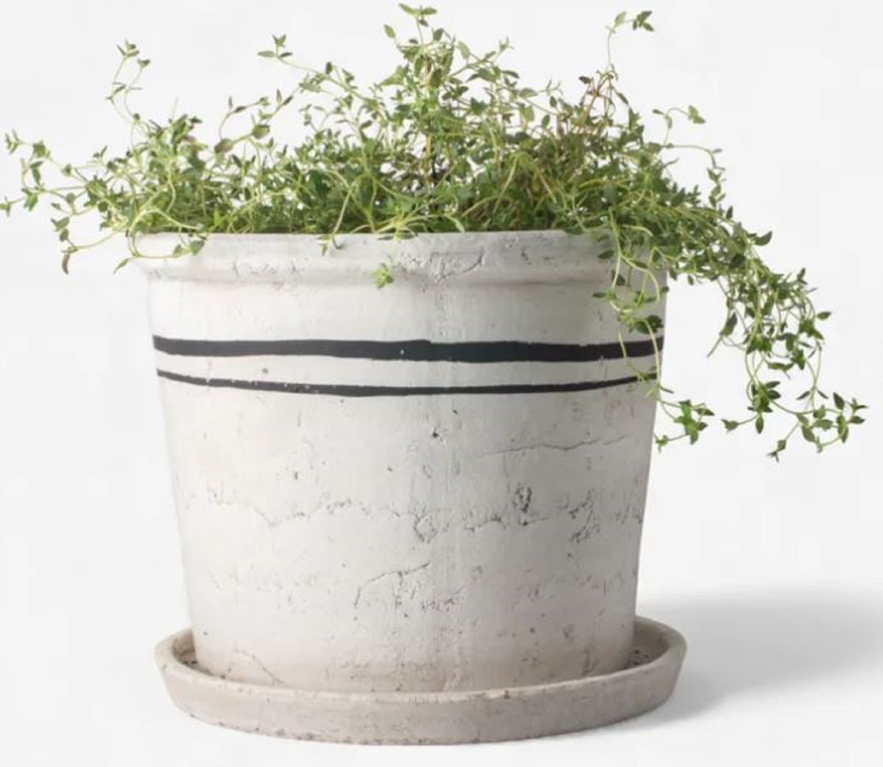 Lisbon Herb pot