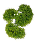 Moss Shapes set of Three