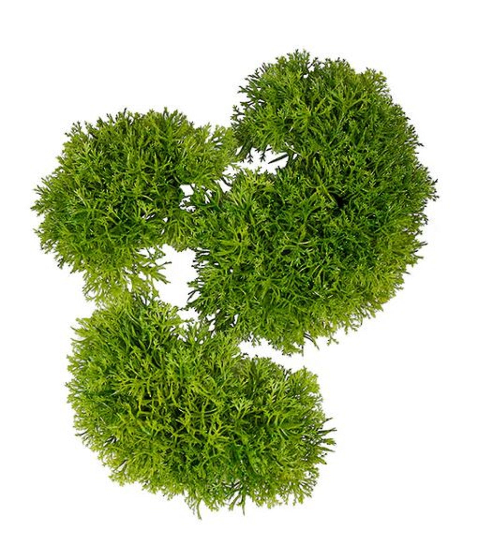 Moss Shapes set of Three