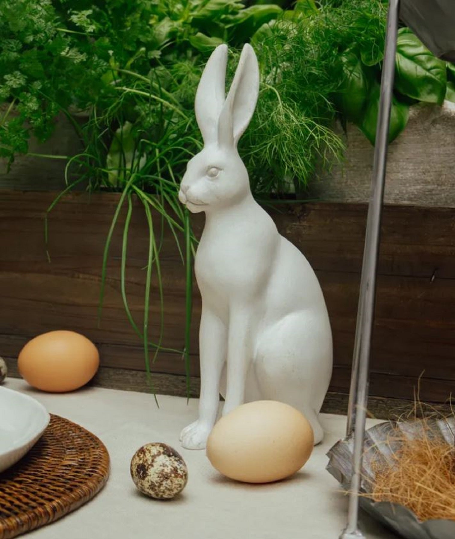 Harold the Hare Small White