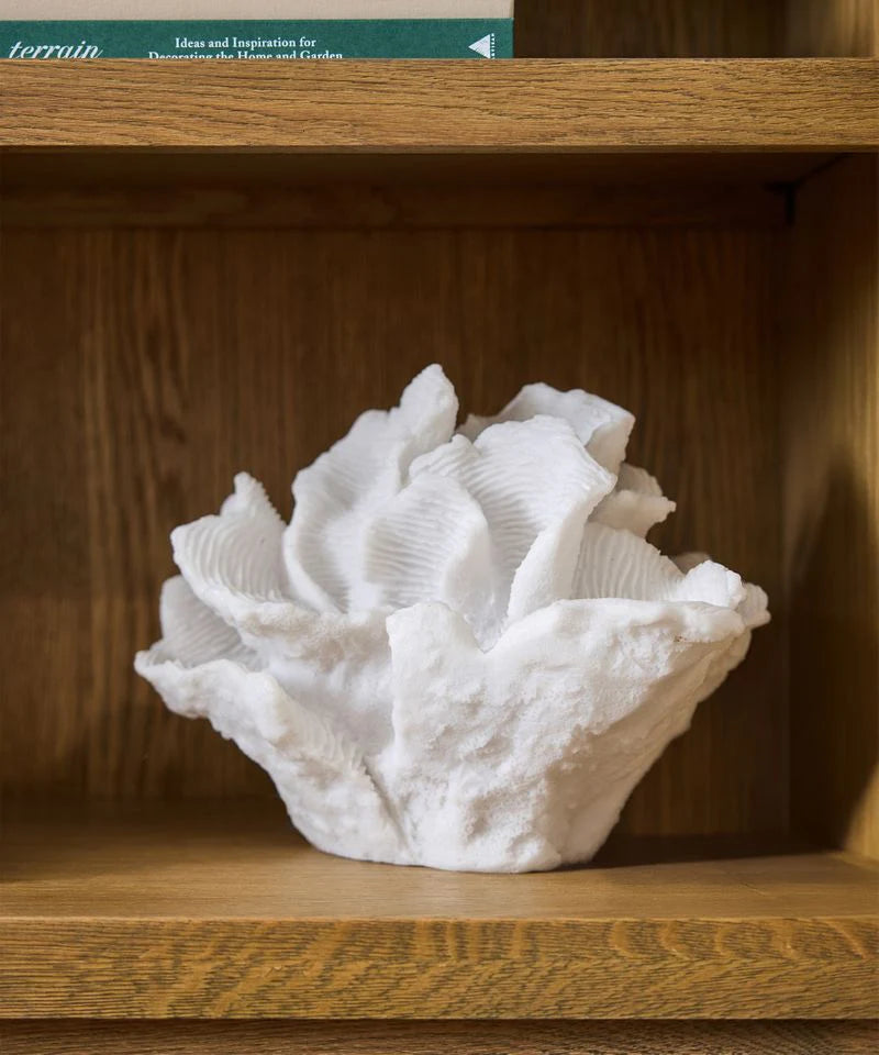 Coral Decorative Light Up