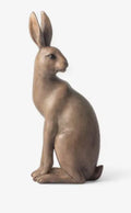 Harold the Hare  Turning Small Brown
