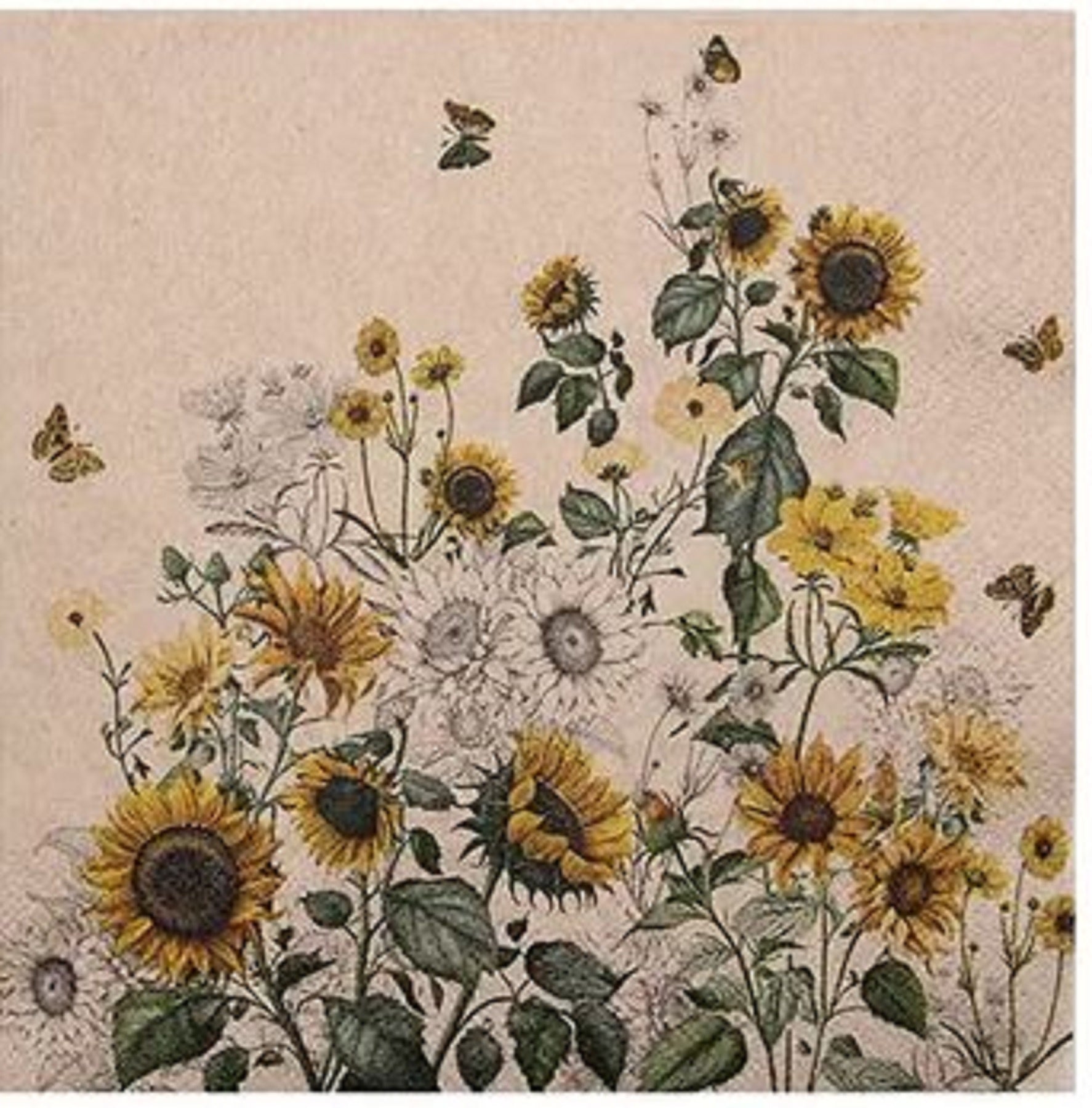Napkin Sunflower Field