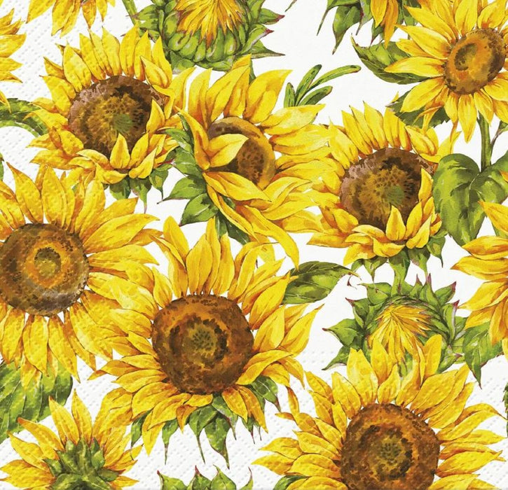 Paw Lunch Napkins  Dancing Sunflowers