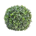 Buxus Ball Small