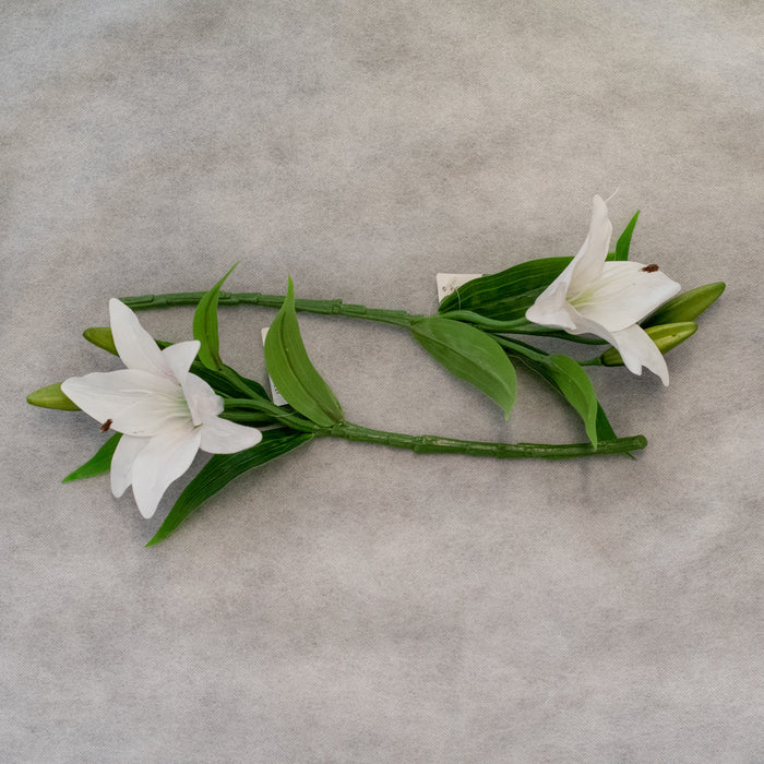 Easter Lilly Flowers