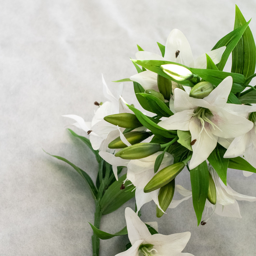 Easter Lilly Flowers