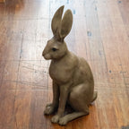 Harold the Hare Brown