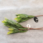 Leucadendron Stem - green