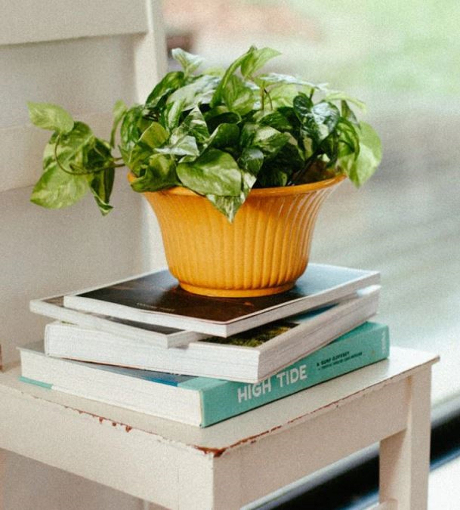 Planter Large Eden Mustard