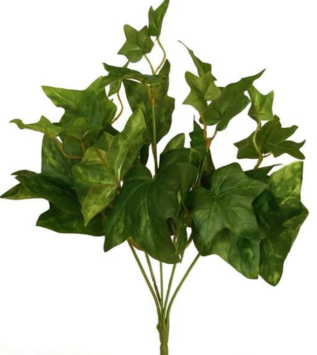 Ivy Maple Leaf Stem