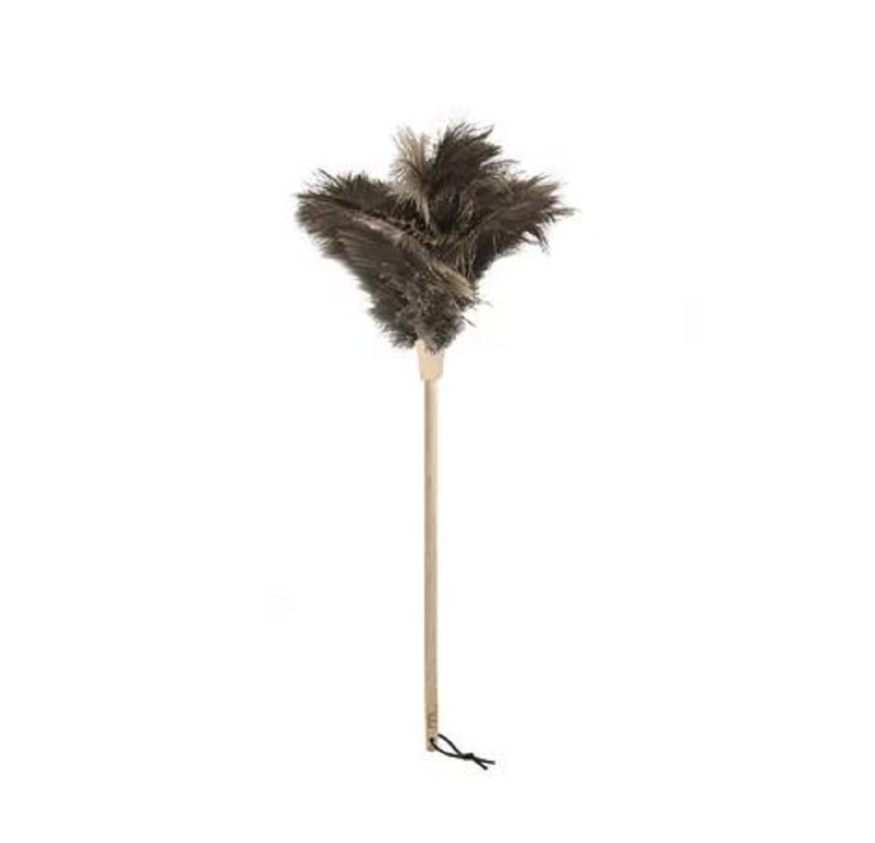 Feather Duster — Drummers & Co Homestore